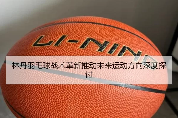 林丹羽毛球战术革新推动未来运动方向深度探讨