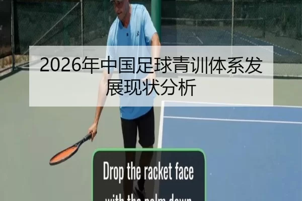 2026年中国足球青训体系发展现状分析