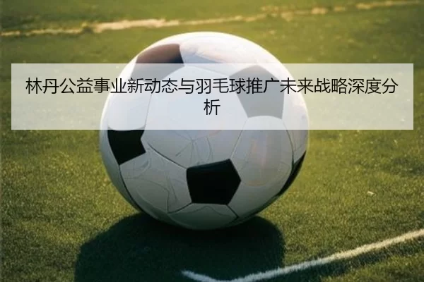 林丹公益事业新动态与羽毛球推广未来战略深度分析